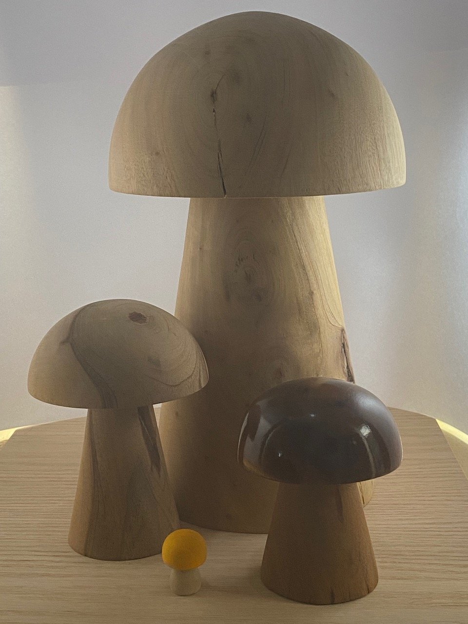 Hongos Decorativos de Madera: Guía para Elegir el Tuyo