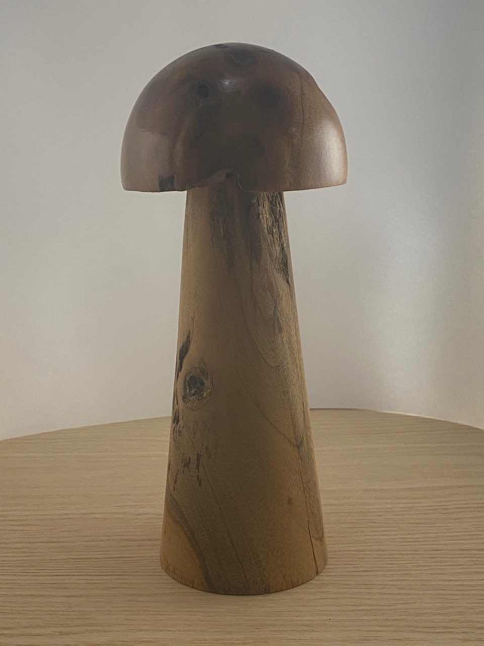 Hongo Pulido - 2